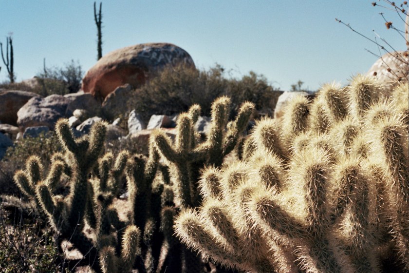 Autosave-File vom d-lab2/3 der AgfaPhoto GmbH