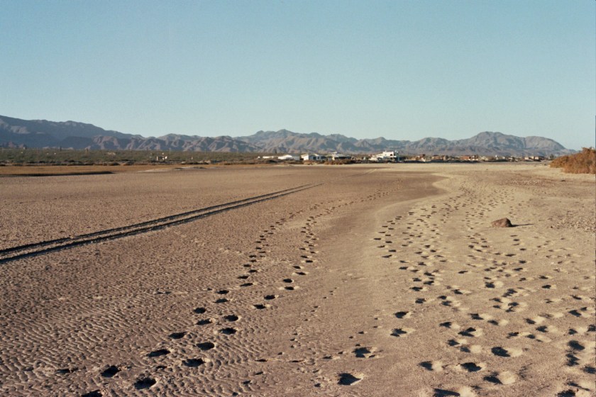 Autosave-File vom d-lab2/3 der AgfaPhoto GmbH