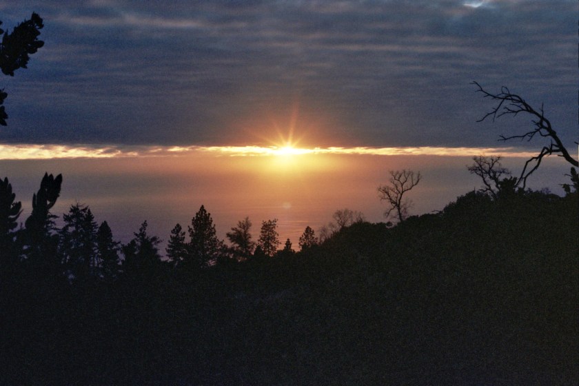 Autosave-File vom d-lab2/3 der AgfaPhoto GmbH