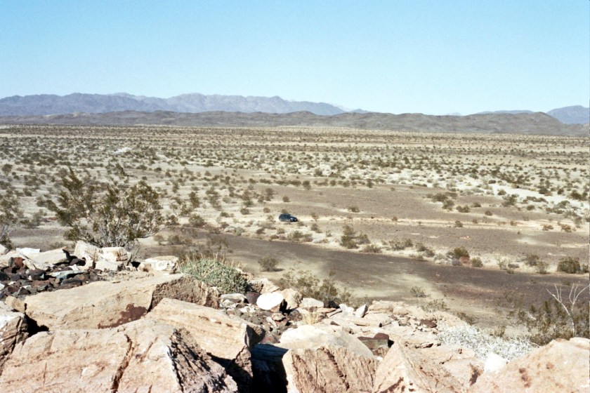 CrampedUp_JoshuaTree9