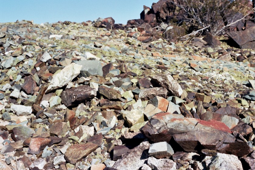 CrampedUp_JoshuaTree6