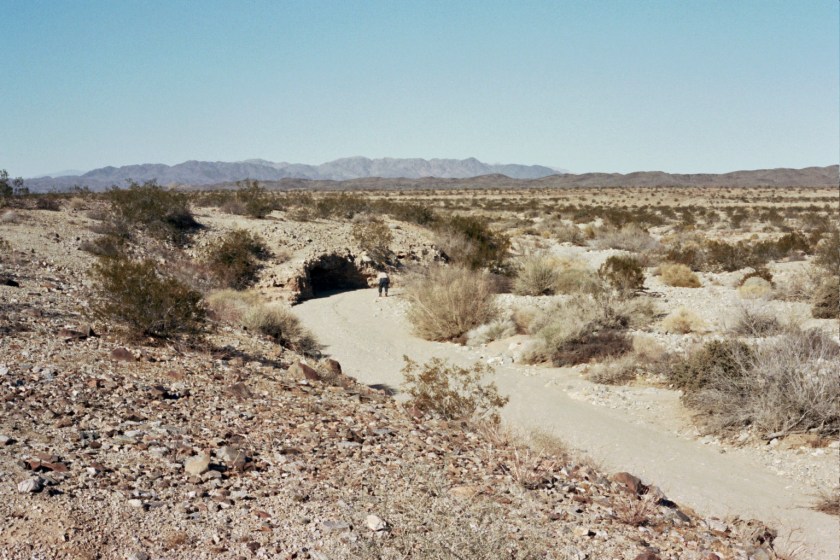 CrampedUp_JoshuaTree4