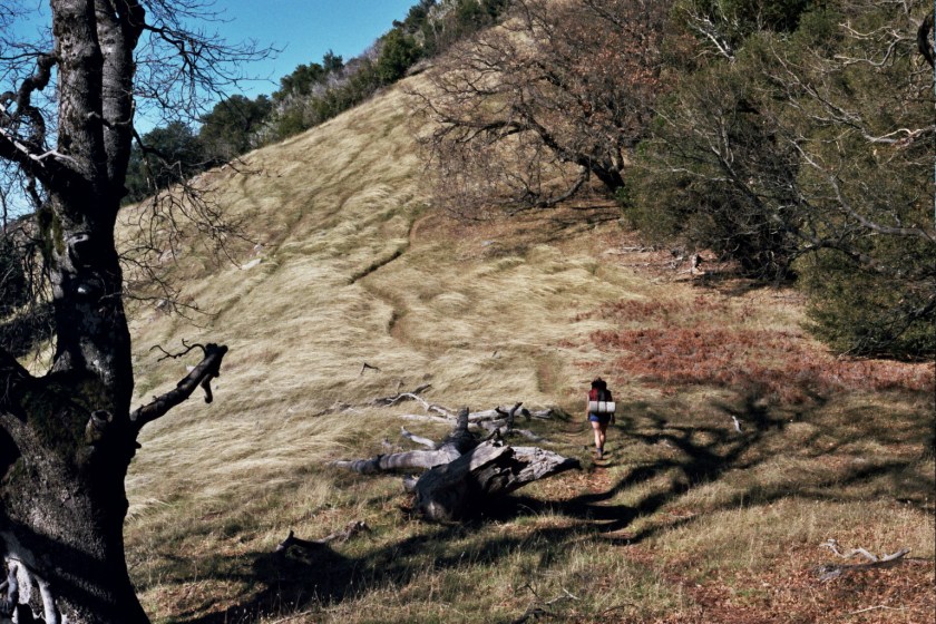 CrampedUp_DoubleCone_16