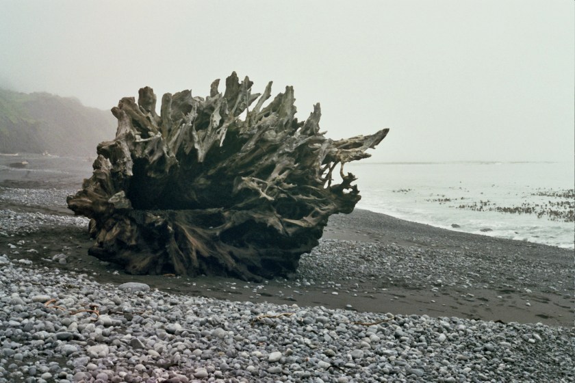 Cramped Up Lost Coast 13