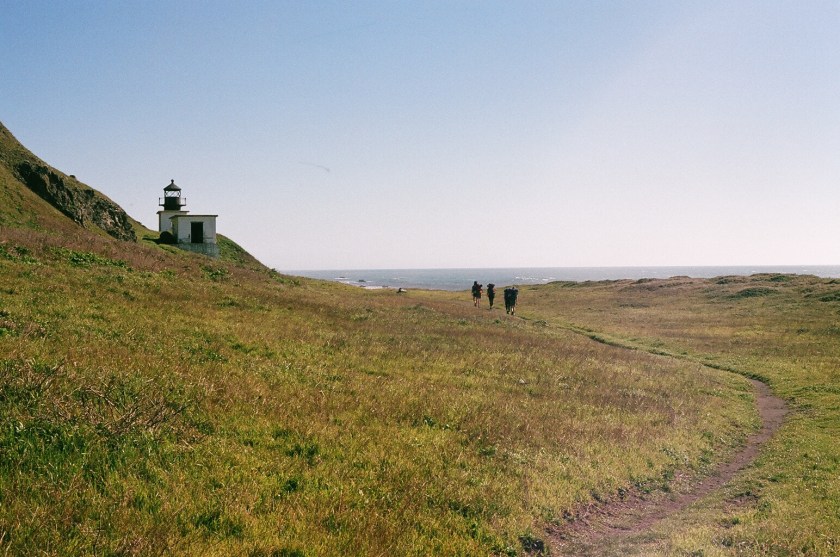 Cramped Up Lost Coast 4