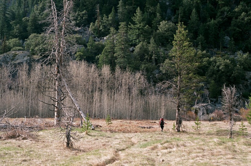 Cramped Up Tiltill Valley 
