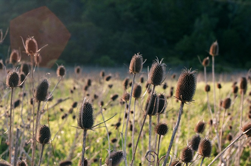 cramped up china camp 
