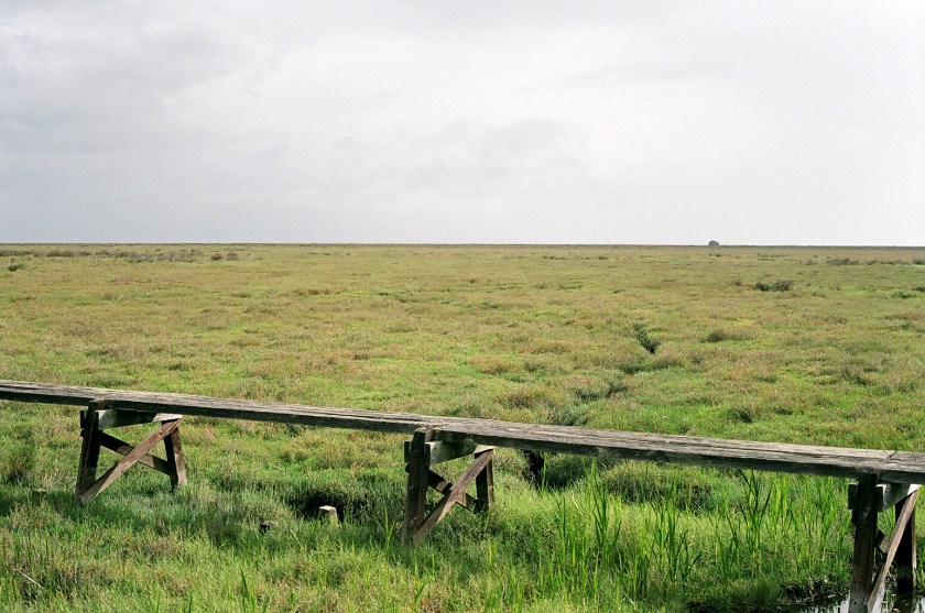 cramped up china camp marsh