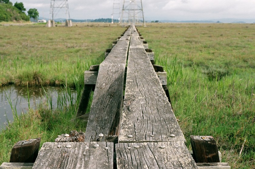 cramped up china camp wire boardwalk close