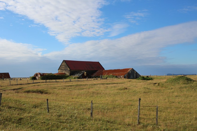 Cramped Up Iceland Farm pasture