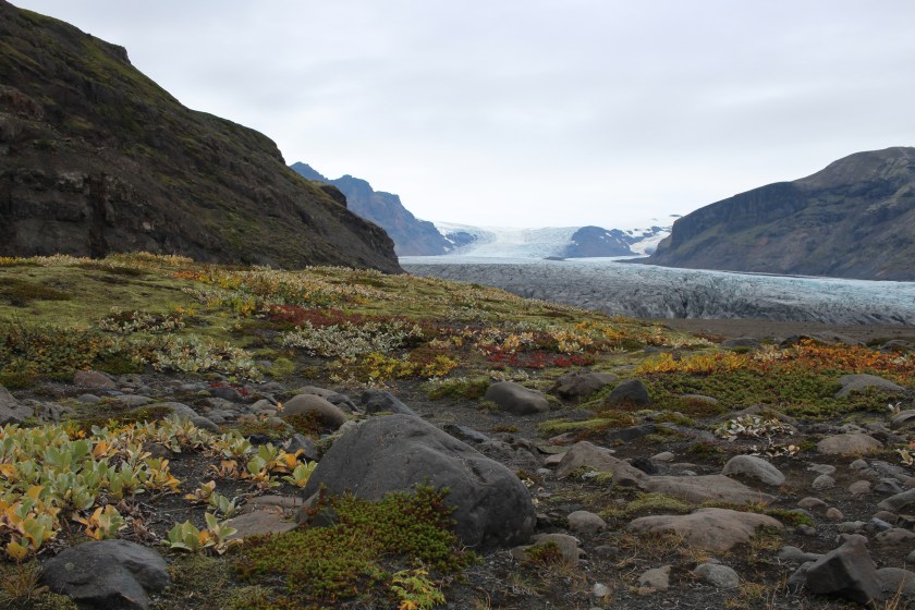 Cramped Up Iceland Skaftafell Glacier