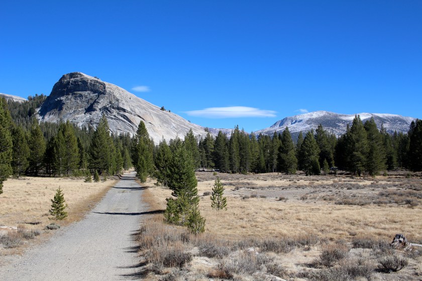 Cramped Up Yosemite soda springs rd