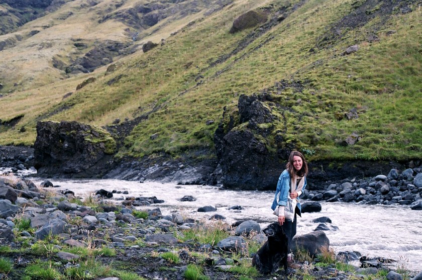 Cramped Up Iceland Guard Dog1