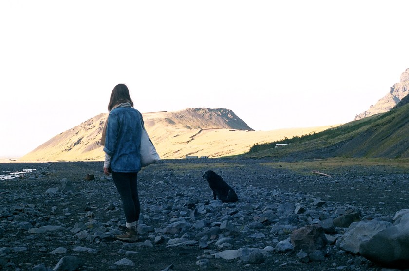 Cramped Up Iceland Guard Dog