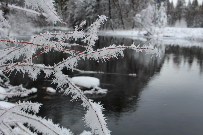 Cramped Up Yosemite Merced River winter 2