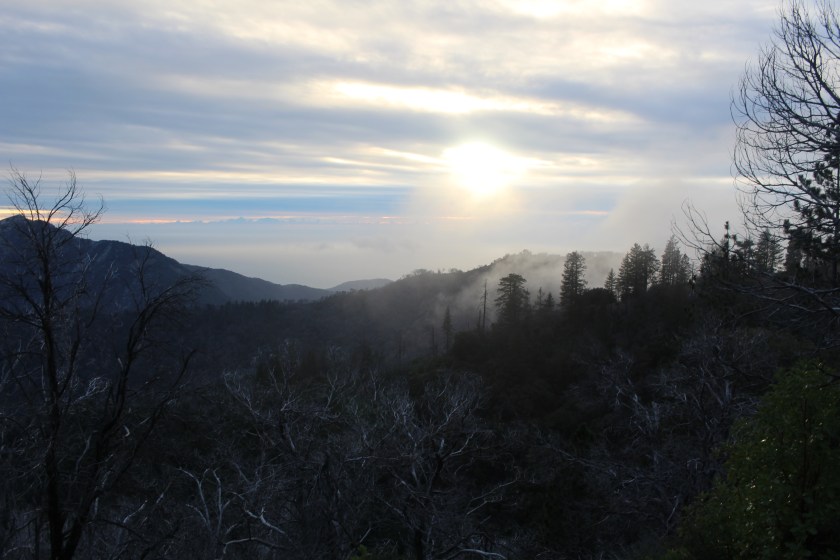cramped up big sur ventana wilderness fog