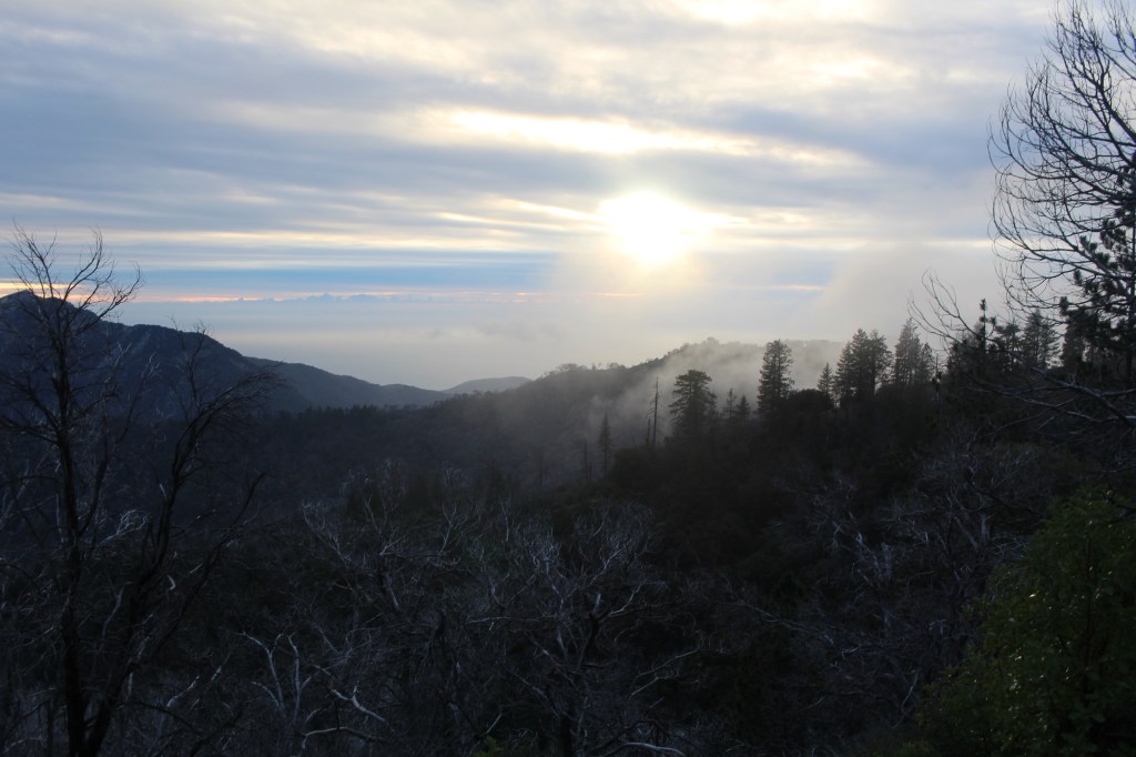 cramped up big sur ventana wilderness fog