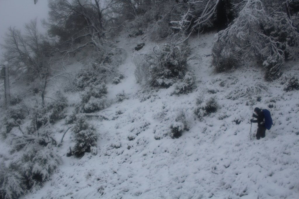 cramped up big sur ventana wilderness snow
