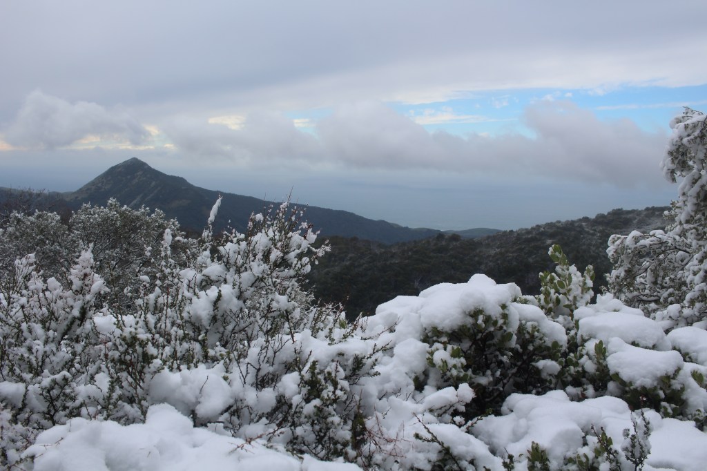 cramped up big sur ventana wilderness snow 2