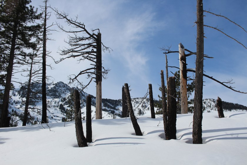 cramped up snow shoe tahoe 2