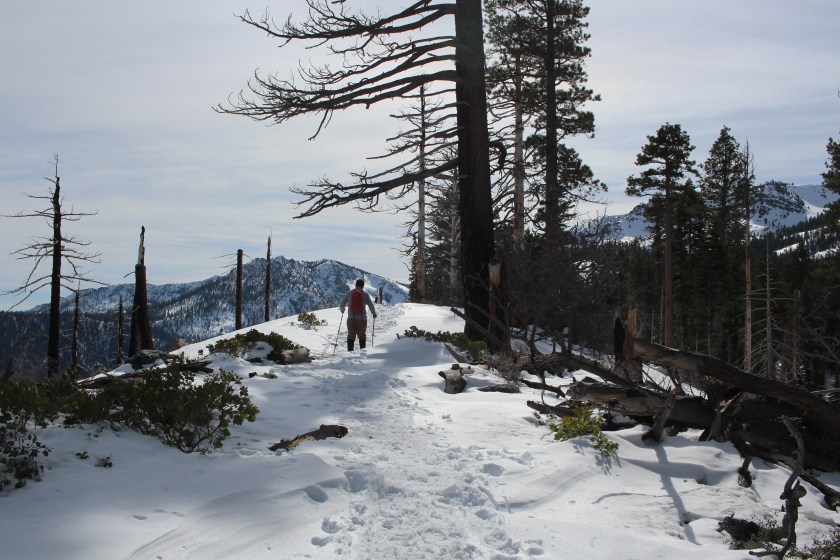 cramped up snow shoe tahoe 6