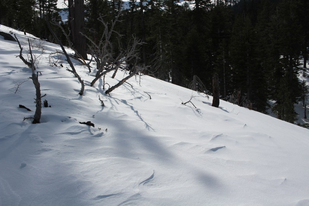 cramped up snow shoe tahoe 9