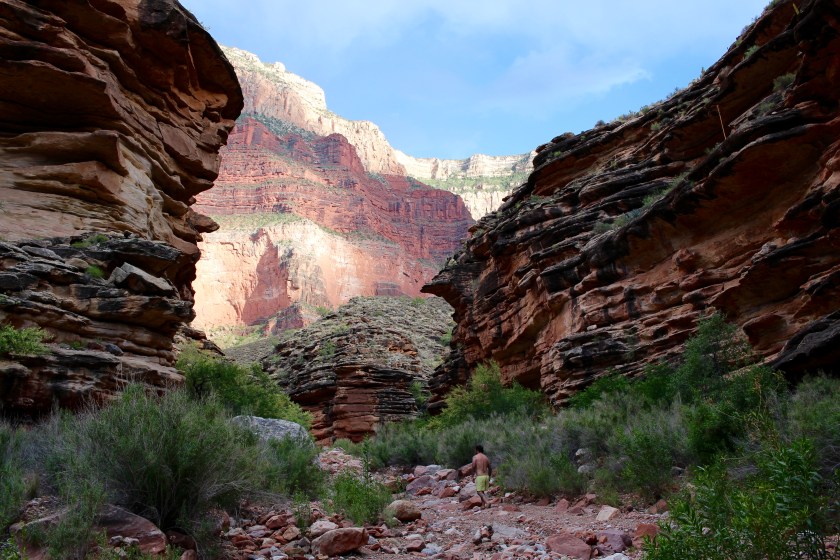 cramped up grand canyon 5