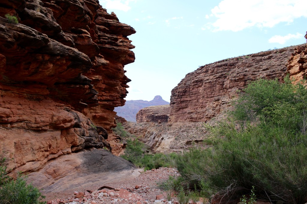 cramped up grand canyon 6