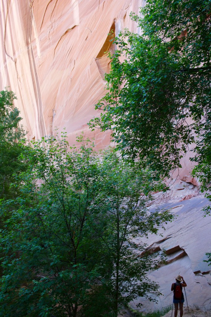 cramped up escalante hike 9