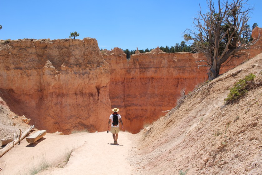 cramped up road trip southwest 7 bryce canyon 