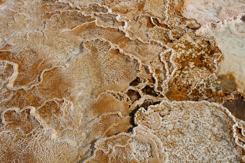 cramped up road trip yellowstone thermal art